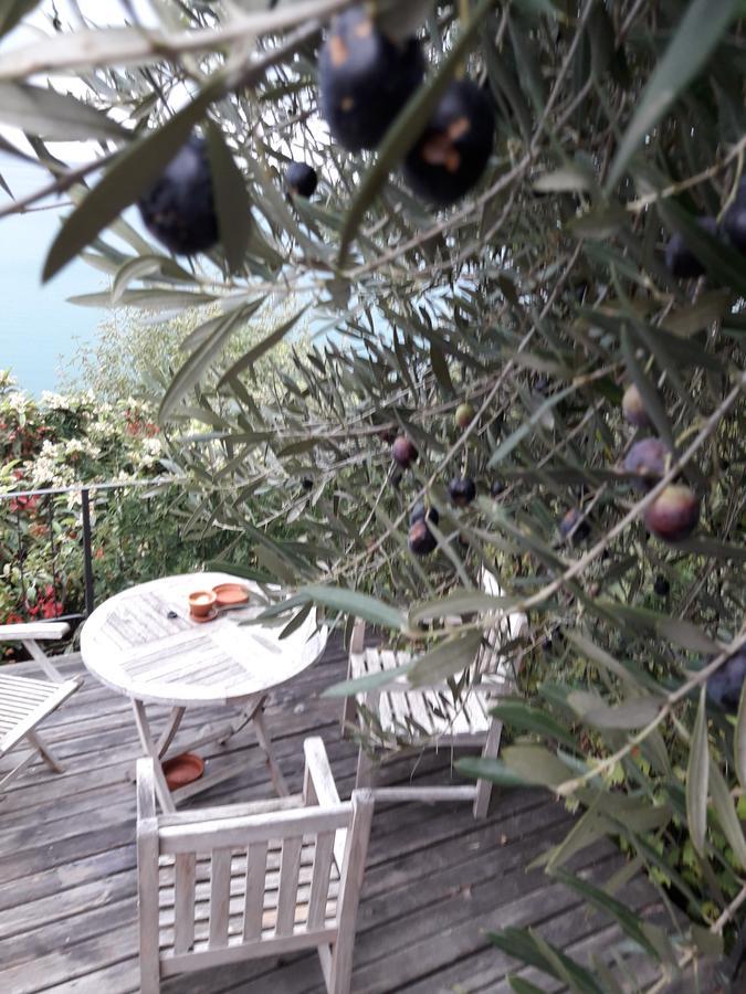 Apartments Olive Garden Piran Kültér fotó